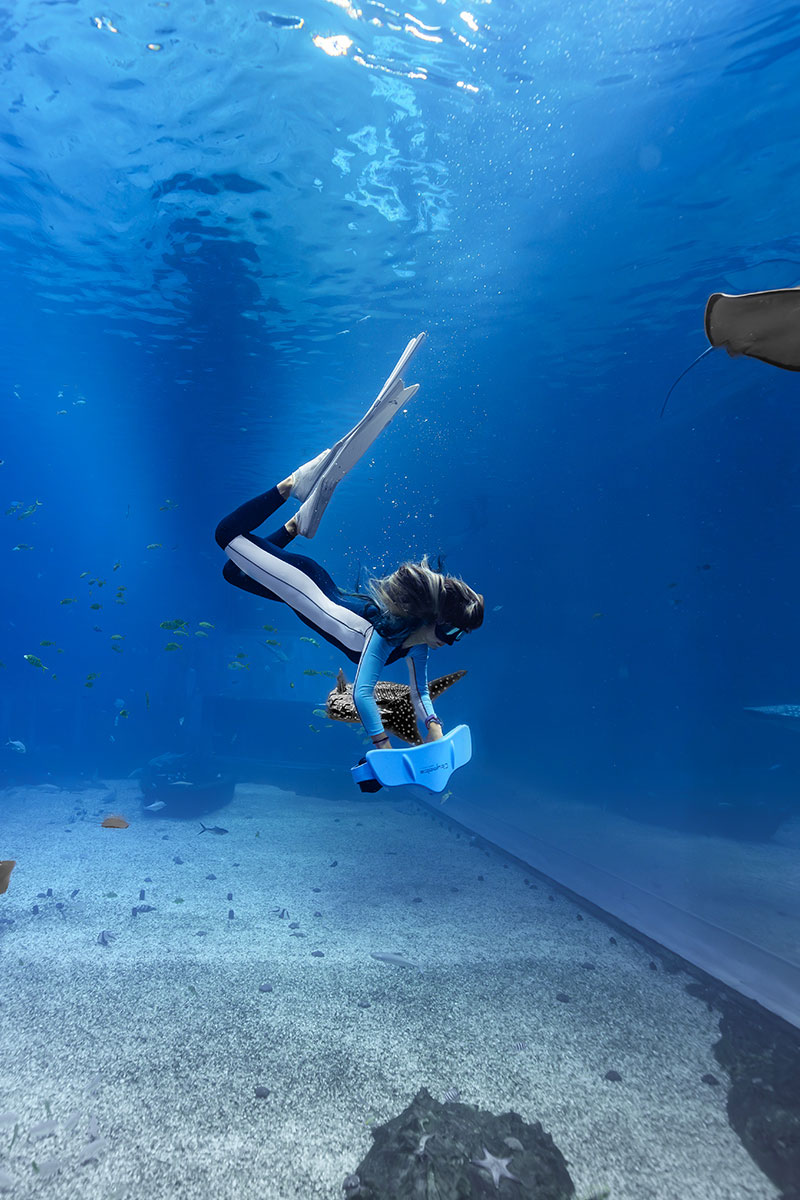 Product Video ablum5